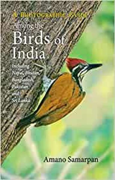 Among The Birds Of India: A Photographic Guide (Including Nepal, Bhutan, Bangladesh, Pakistan And Sri Lanka) - shabd.in