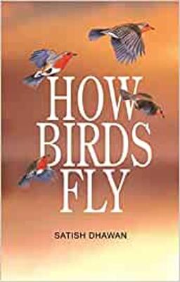 HOW BIRDS FLY