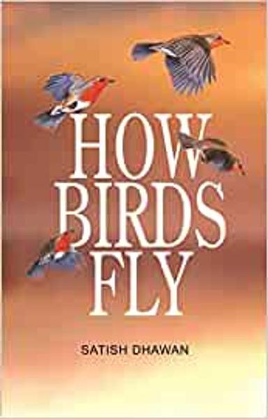 HOW BIRDS FLY - shabd.in